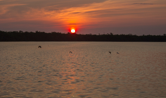 Sunset at Ding Darling National Wildlife Refuge