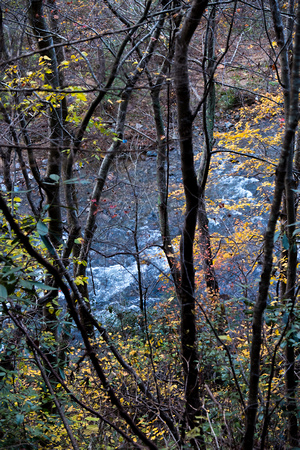 Fall at Doe River Gorge, TN