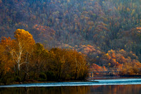 Autumn's Last Gasp on the Holston River 19-Nov-16