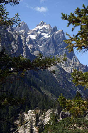 View on Cascade Canyon Trail