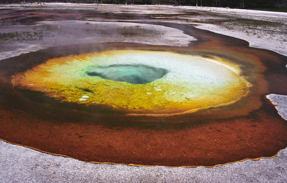 Pool Yellowstone