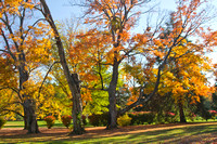 Fall at Mountain Home, Johnson City, TN