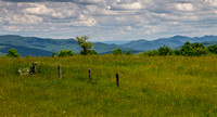 Shady Valley, Cross Mountain, and Washington County 4-Jun-15