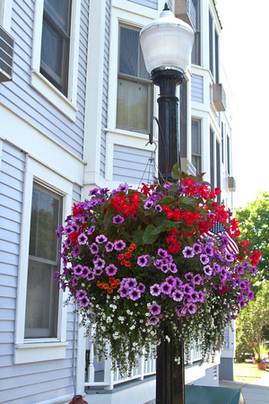 Hanging flower basket, Mackinac Island