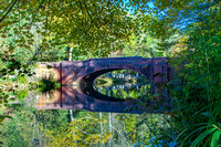 A Fall Afternoon at Biltmore