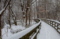 February 2014 Snow