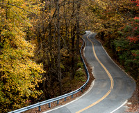 Bays Mountain Hike