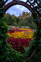 Chihuly Night at Biltmore