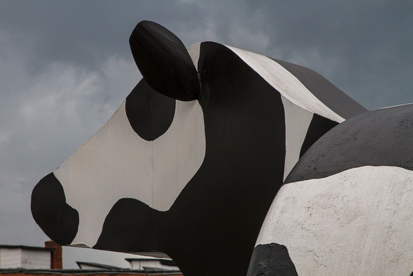 Cow Tanks at Ashe County Dairy