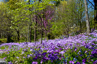 Jonesborough area April 13 2017